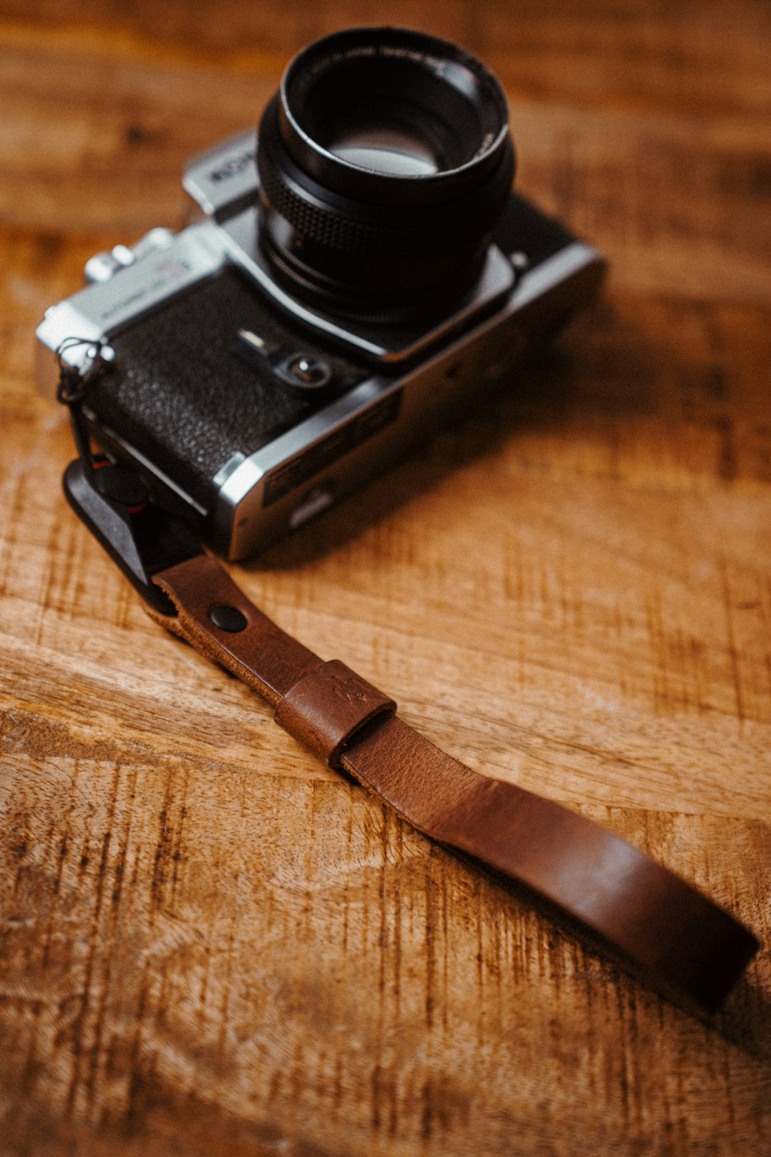 Family Portrait Photography
